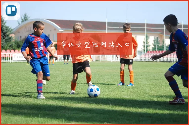 华体会登陆网站入口